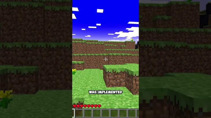 Minecraft NEEDED this feature