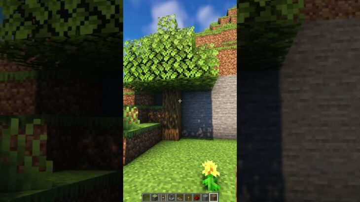 Minecraft Secret Entrance🤫 (もういいよ) #minecraft #shorts