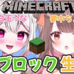 【 #Minecraft 】２人ではじめる１ブロ生活　打倒エンドラ！！【＃新人VTuber /　白玉うな 】