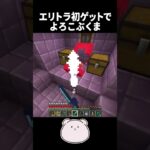 エリトラ初ゲットが嬉しいくま！【Minecraft】【#Shorts】 #マイクラ #minecraft #マインクラフト