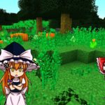 【Minecraft】霊夢達は魔法の本で異世界(石器時代)を自由に生きていくpart1　【ゆっくり実況】