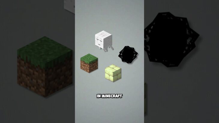 Minecraft’s 4th Dimension