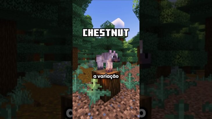 Onde encontrar cada variação de lobo no Minecraft.