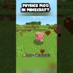 Physics mod in MINECRAFT #minecraft