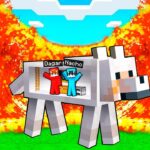 TSUNAMI de LAVA vs Base Secreta Dentro del PERRO en Minecraft