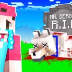 WER HAT MEINEN HUND…😭 (Minecraft YouTuber Insel)