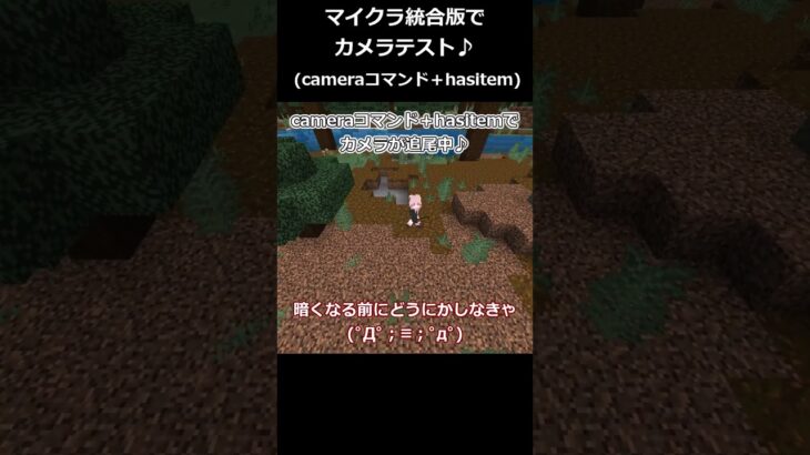 マイクラ統合版、cameraコマンド＋hasitemコマンドで演出してみた♪ #マイクラ #コマンド　#shorts