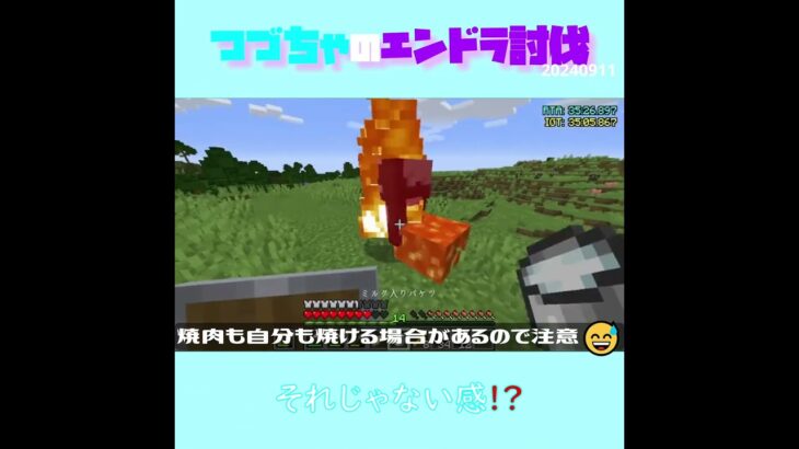 【マイクラ】それじゃない感！？　 fromつづちゃのエンドラ討伐！2024/09/11　#Minecraft　#Shorts