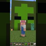 マインクラフト　ゾンビのかおの家 #minecraft #マイクラ #マインクラフト