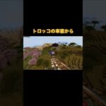 トロッコの車窓から #マイクラ #マインクラフト #minecraft #マイクラ好きな人と繋がりたい #architecture #マイクラ建築 #game #shorts #車窓 #絶景 #列車