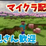 初見さん大歓迎!! 影modで遊ぶマインクラフト　配信