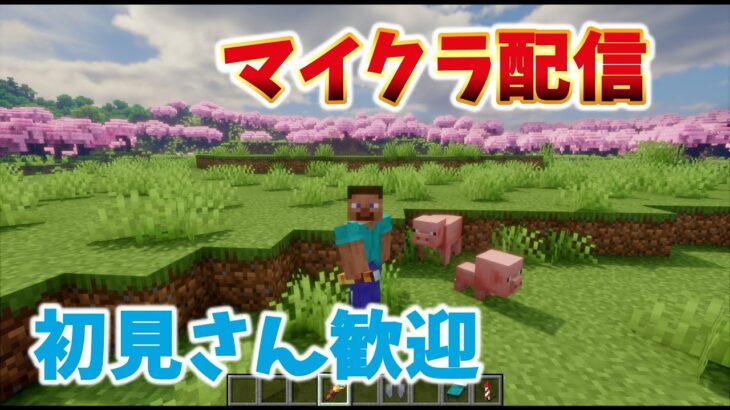 初見さん大歓迎!! 影modで遊ぶマインクラフト　配信