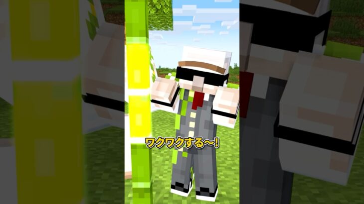 ぴかぴかな竹 #shorts #マイクラ