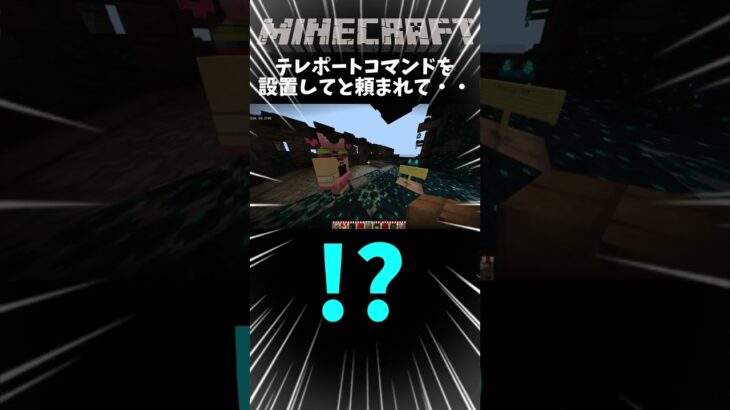 【マイクラ】私にぬかりはない#shorts#マイクラ #コマンド