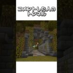 〇〇した人のトンネル #マイクラ #マインクラフトswitch #マインクラフト#minecraft #まいくら #スイッチ