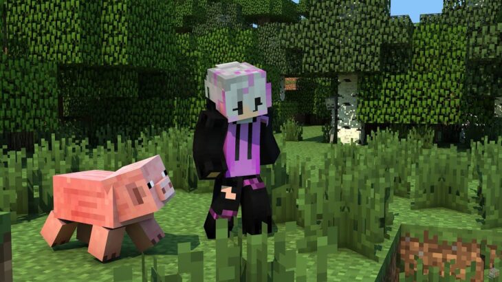 「あ～少しマイクラやりたいなぁ。けど一人でやるのもなぁ･･･。そうだ配信しよう！」のやつ。