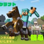 【✨マインクラフト✨】【✨家・ツルハシ・剣・作り✨】【下手・上手い関係なく楽しんでやろう！】【視聴者さん・初見さん・大歓迎！】