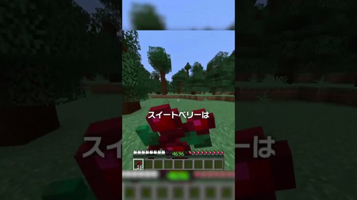 一度も「止まらずに」マイクラをクリアした猛者！？【マイクラ豆知識 解説 裏技】