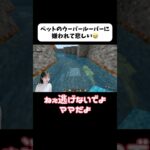 ママなのに… #マイクラ #マインクラフト #ゲーム実況 #ディズニー #日岡家