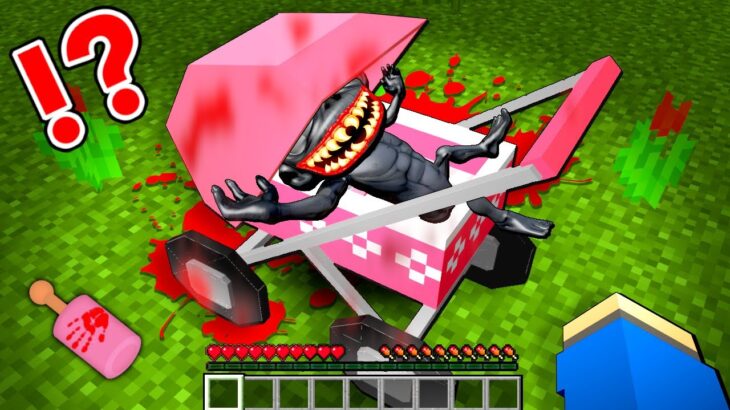 呪われたベビーカーから妊婦と赤ちゃんを守るマインクラフト😱【マイクラ】ぽっぴんず