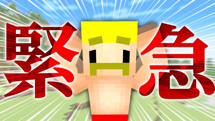 【緊急】最近の動画は濃すぎる！このままではヤバい！【マイクラ】