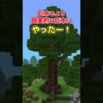 【アドオン紹介】新たな世界、新たな出会い【統合版マイクラ】