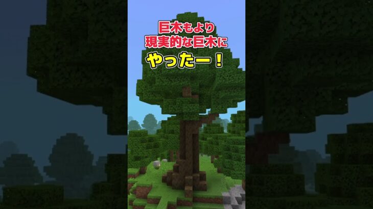 【アドオン紹介】新たな世界、新たな出会い【統合版マイクラ】