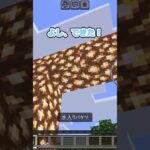 【あるある】小さい頃マイクラで勘違いしていたこと【マインクラフト】#あるある #あるあるネタ #マインクラフト #マイクラ #マイクラ統合版 #マイクラ建築