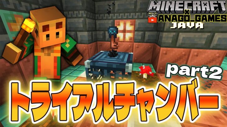 【あなクラ２】限定レコードとエンチャント本ゲットしに行くぞ【マインクラフト】