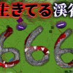 “生きてる渓谷”の『マイクラ都市伝説』を検証した結果・・【まいくら,マインクラフト,解説,都市伝説】