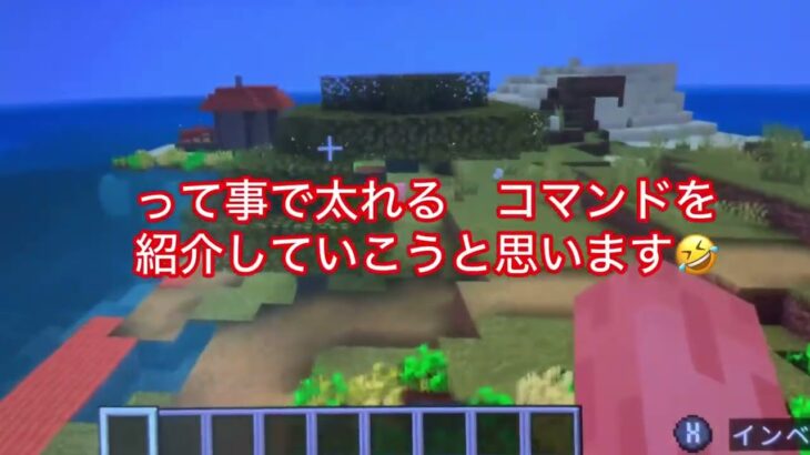 体を大きくする爆笑コマンド🤣【マインクラフト】(*「-「*)