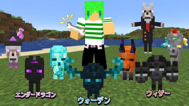 進化したオオカミを仲間にできる世界でサバイバル【マインクラフト】