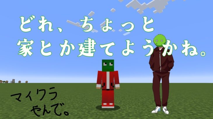 【マイクラ】深夜にちょっとだけ家を建てる【ひなで】