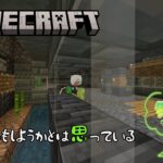 【マインクラフト】 続・素材集めたり建築したり【試手みてね】