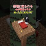 【アドオン紹介】もうポケットに住めばいい【統合版マイクラ】