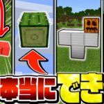 【マイクラ】海外の謎動画は本当なのか検証したらヤバかったｗｗｗ【まいくら・マインクラフト】