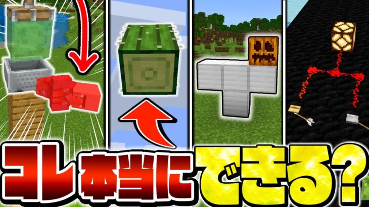 【マイクラ】海外の謎動画は本当なのか検証したらヤバかったｗｗｗ【まいくら・マインクラフト】