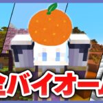 【年越し】0から全バイオーム制覇しながら年越すだけ【マイクラ】