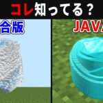 【海外検証】謎が多すぎるマインクラフト12選【ゆっくり実況】【マイクラ】