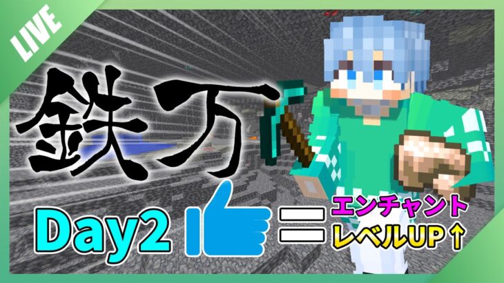 【高評価つくたびにエンチャントレベルが上昇】鉄1万個掘るまで終われません！残り8000個 DAY2【マイクラ】【鉄万】