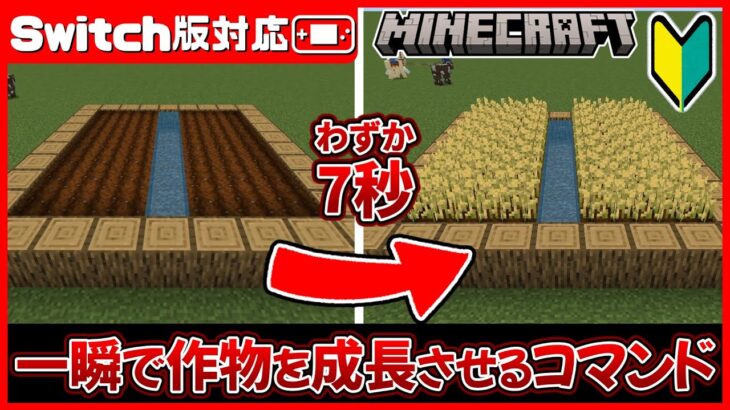 コマンド1つだけ！一瞬で小麦や木を成長させる超便利なものを紹介します！【マイクラ統合版/Switch】【voicevox解説/ひとくちコマンド】