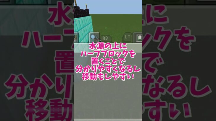 【マイクラ】2分で出来るサトウキビ畑 #いるクラ #マイクラ #shorts