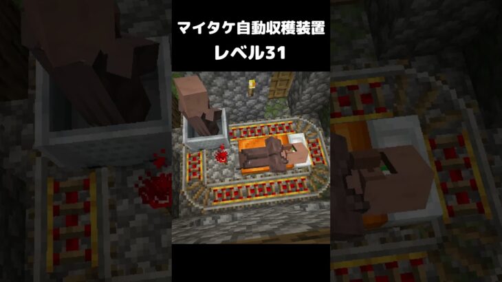 まいたけダンス マイタケ収穫装置 レベル31 #マイクラ #マインクラフト #minecraft #まいたけダンス #コマンド #建築 #スイッチ #mod #shortsfeed  #shorts