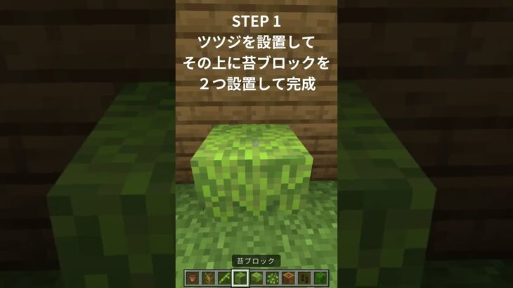 【簡単】観葉植物の作り方 6選【マイクラ】