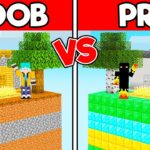 CHUNK DE NOOB vs PRO no MINECRAFT