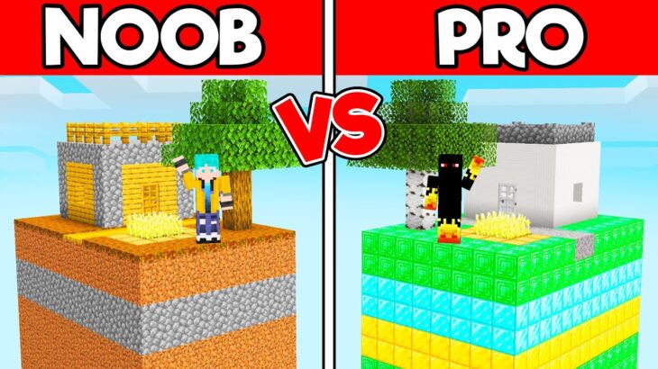 CHUNK DE NOOB vs PRO no MINECRAFT