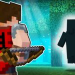 Der verschwundene Magier – Minecraft Portal