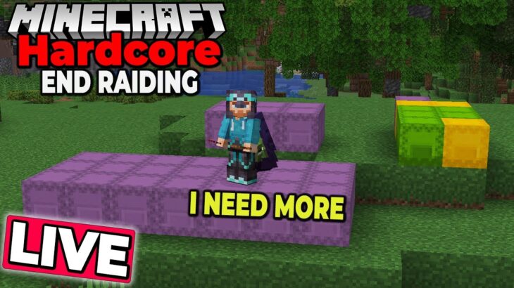 END RAIDING – I NEED Shulker Boxes – Hardcore Minecraft 1.21 Survival