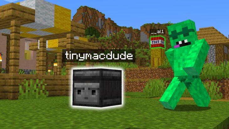 Hiding as Blocks in Minecraft