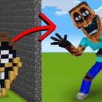 I Cheated with //THE MIMICER in Minecraft Build Battle